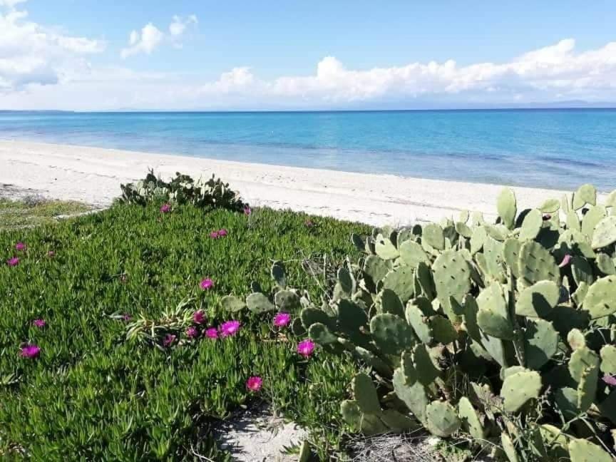 Villa Christina Sea Side A Hanioti Bagian luar foto