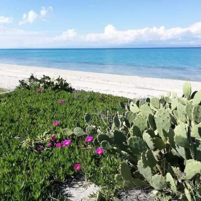 Villa Christina Sea Side A Hanioti Bagian luar foto