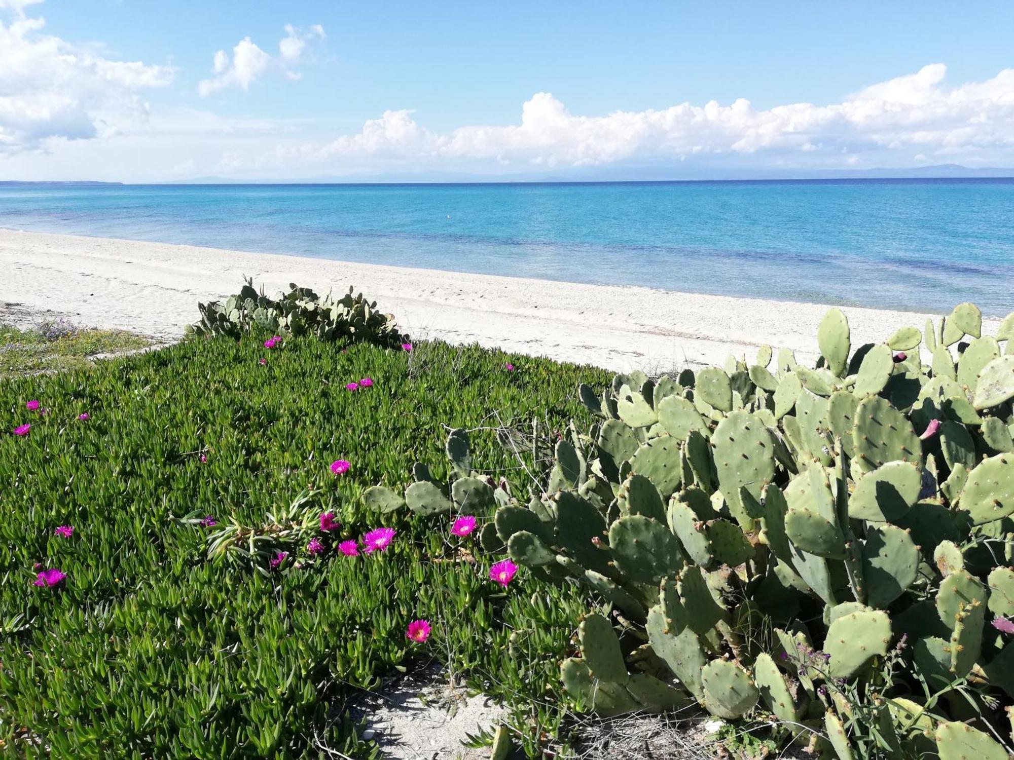 Villa Christina Sea Side A Hanioti Bagian luar foto